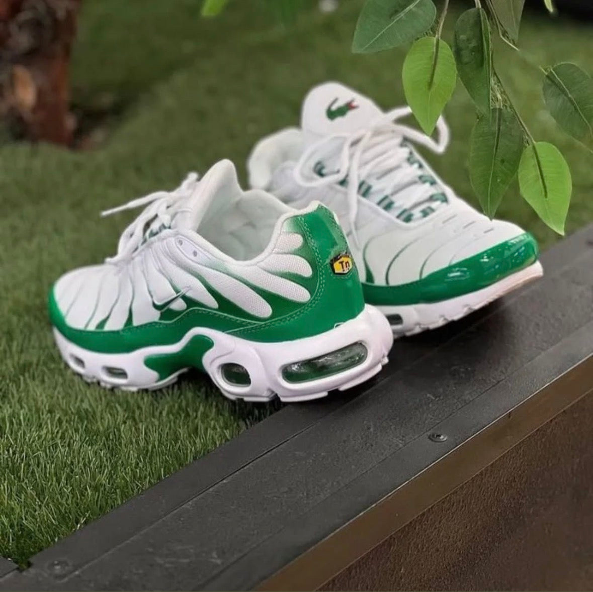 Nike air max Tn X Lacoste